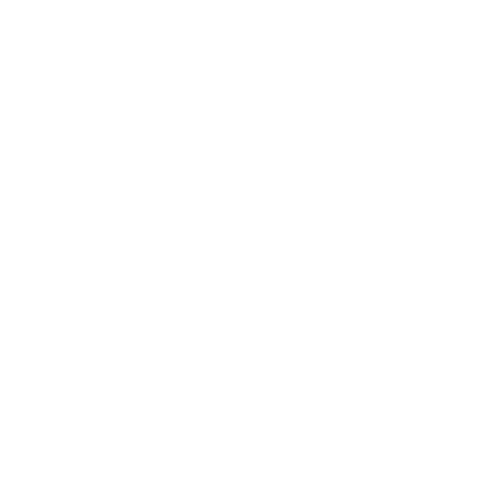 Password Icon